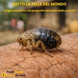 Fuori Scala #39 👣 Sotto La Pelle del Mondo