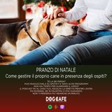 #048 - PRANZO DI NATALE. Come gestire il proprio cane in presenza degli ospiti?