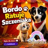 🐶Bordo Ratuje Szczeniaka 🐾– Bajka do Słuchania dla Dzieci _ 🐾 #audiobook #bajkadladzieci