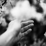 Mi posso fidare? Il rischio della relazione