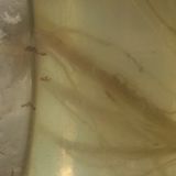 9. Riconnettersi alla saggezza del corpo pt.2 (yoga nidrā guidata)