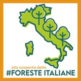 Alla scoperta delle foreste italiane - boschi & acqua