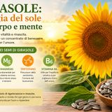Girasole: energia, simbolismo e benefici dei suoi semi per corpo e mente