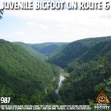 Driver Spots Juvenile Bigfoot Near Pennsylvania Grand Canyon / Peoria, Illinois Updates!