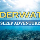 Guided Meditation For Deep Sleep_ The Underwater World(MP3_160K)