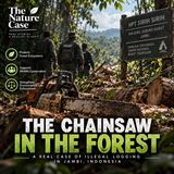 The Chainsaw in the Forest