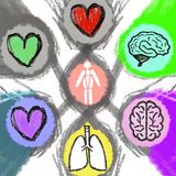 6 Scientific Protocols for Long-Term Visual Health