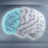 Neuroscience of Focus with Heather Berlin