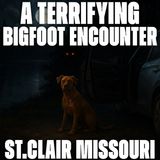 Bigfoot Chased Our Car | Terrifying Ozark Lake Encounter in Missouri | St. Clair Missouri (Red Eyes)