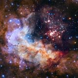 Combatting Anti-Science with Richard Dawkins