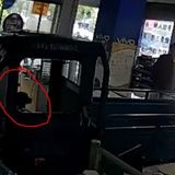 Moron Monday: Owners Dog Drives His Truck Through Cell Phone Store
