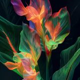 Transformational leadership: Flourishing Leaders, workers and customers