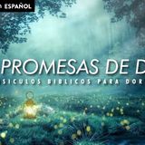 Las Promesas de Dios _ Versiculos Biblicos Para Dormir(M4A_128K)