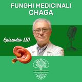 Funghi Medicinali: CHAGA