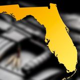 Florida's Semi-Auto Ban Petition Ballot is Null & Void +