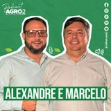 Como o peso do boi influencia preço, lucro e negociações na pecuária? #420