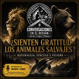 ¿Sienten gratitud los animales salvajes? | Javier Lopez Olmos