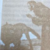 Episodio 19. Francisco y el Lobo