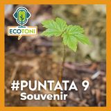Puntata 9 - Souvenir