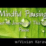 INTEGRATIVE MINDFULNESS PRACTICE -TRUST THE Journey Of This Global Pause !!!