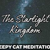 The Starlight Kingdom (Guided Sleep Meditation)
