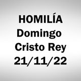 Homilía. Domingo Cristo Rey. 21/11/2022. P.A.