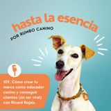 Cómo crear tu marca como educador canino y conseguir clientes (sin ser viral)