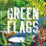 Introduzione, chi sono, cosa è Green Flags