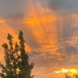 Episodio 86 - Un regreso encantador 🧙🏾‍♂️