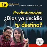 Ep. 16 La PREDESTINACIÓN: ¿Dios ya DECIDIÓ tu DESTINO eterno?