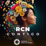 Salud Cognitiva: Enfermedades que producen problemas en las funciones del Cerebro