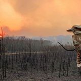The Human Crisis Is Earth’s Crisis