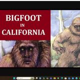Bigfoot in California