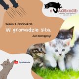 S2E10 - W gromadzie siła.