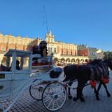 Viaggio a Cracovia 1