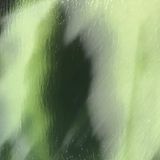 The Spook Who Sleuths by Daniel P. Douglas