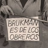 7. Las lecciones de Brukman - Liliana de Daunes - (AUDIOLIBRO ANARCOFEMINISMO O NADA)