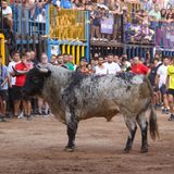 Programa 20. 03-09-25