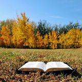 Episode 1453 - Jarvis Kingston And the child grew, and waxed strong in spirit filled with wisdom and the grace of God was upon him Luke 2:40