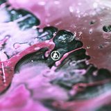 Shinoda muestra una carta interesante