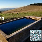 MikesDailyPodcast 3194 Towards