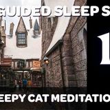 Hogsmeade _ The Sleepy Cat Returns - Harry Potter Inspired Sleep Story (_Yer a Wizard_) Ep 14_16