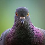 Piccole cose che ci rendono felici