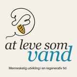 Vi lever i en overgangstid, men hvad betyder det?