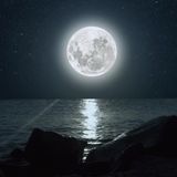 S94E9: We Discovered That Anywhere Near A Full Moon Sue Would Be Affected - Trevor Gear On His Sister