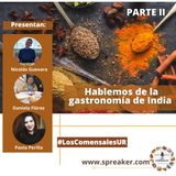 Hablemos de la gastronomía de India 2 parte