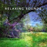 Episode 13 - Relaxing Sounds Over 30 Minutes Of Solfeggio Frequencies