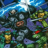 Teenage Mutant Ninja Turtles #44 (2015)