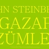 GAZAP ÜZÜMLERİ   JOHN STEINBECK ( 1. BÖLÜM )
