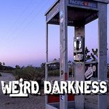HAUNTED MOJAVE PHONE BOOTH: It Answered To No One – Except The Paranormal